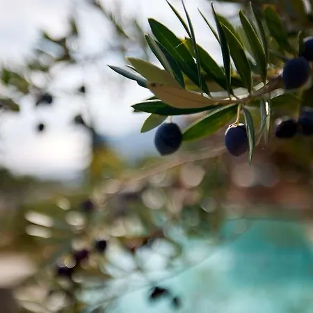 Angsana Corfu 5*